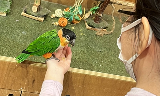S.E.さんのプライベート写真、鳥と触れ合う様子